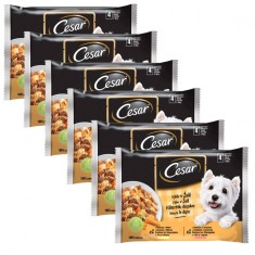 Cesar plicule? cu selec?ie in gelatina 6 x (4 x 100 g) foto