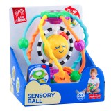 Prima mea mingiuta interactiva PlayLearn Toys, Little Learner