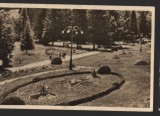 CPI B13883 CARTE POSTALA - SLANIC MOLDOVA. IN PARCUL DE ODIHNA, RPR, Circulata, Fotografie