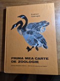 carte pentru copii - prima mea carte de zoologie - anul 1980