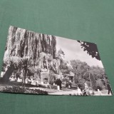 CARTE POSTALA NECIRCULATA RADAUTI VEDERE DIN PARCUL ORASULU7I