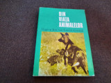 HUGO si JANE VAN LAWICK GOODALL - DIN VIATA ANIMALELOR P3