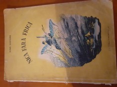 Nică Fără Frică-Nina Cassian.