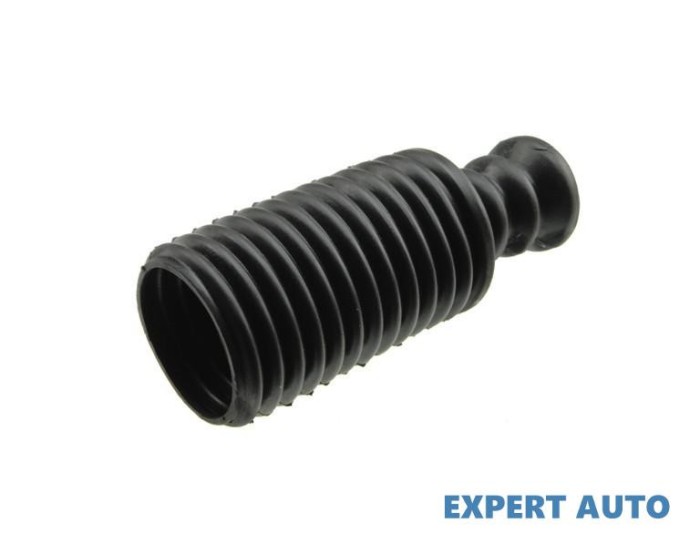 Burduf protectie telescop Nissan SENTRA V (1998-2006)[B15] #1