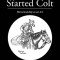 The Started Colt: Horsemanship as an Art