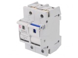 Separator cu Fuzibil D02 pentru Șină DIN 63A 230/400VAC