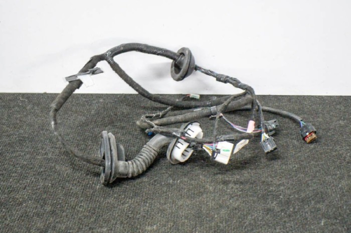 Cablaj ușă st&acirc;nga spate TESLA MODEL 3 2019 OEM: 2067965-00-A 11246832