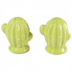 Set solnita pipernita din ceramica Cactus verde deschis foto