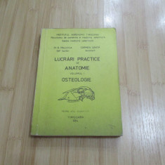 R. PALICICA--LUCRARI PRACTICE DE ANATOMIE - VOL. 1 - OSTEOLOGIE - 1984