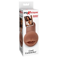 Masturbator gura PDX Extreme