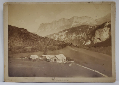 STUDIO F. GRAINER , REICHENHALL , MELECK , FOTOGRAFIE CABINET , SFARSITUL SEC. XIX foto