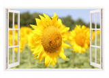 Sticker decorativ, Fereastra 3D, Floarea soarelui, 85 cm, 336STK