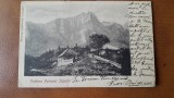 Carte postala, Poiana Tapului, 1904
