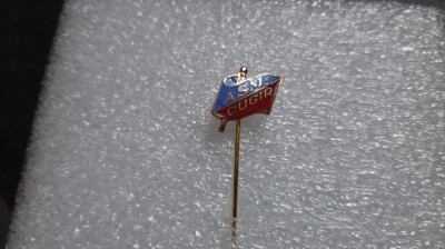 insigna ASM Cugir foto