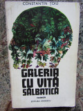 Galeria cu vita salbatica - Constantin Toiu