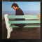 Vinil LP Boz Scaggs &ndash; Silk Degrees (G+)