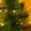 Instalatie de Craciun, Flippy&reg;, Tip Liniara, Fir Negru, 9 m, 100 LED-uri, Interconectabila, Alb Cald