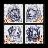 Cumpara ieftin ✅RO 2019 ,LP 2230 c ,&quot;Rase de caini romanesti &quot; , serie ,MNH, Nestampilat