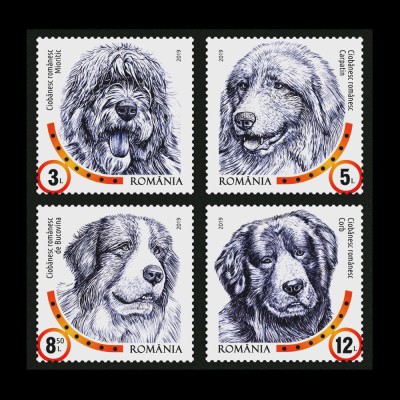 ✅RO 2019 ,LP 2230 c ,&amp;quot;Rase de caini romanesti &amp;quot; , serie ,MNH foto
