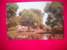 HOPCT 43383 CAMPING IN DELTA DUNARII -JUD TULCEA-CIRCULATA foto