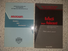 REFLECTII DESPRE HOLOCAUST + HOLOCAUST,GANDURI,IDEI, SENTIMENTE, 2005-2007 foto