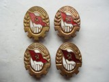 ROMANIA - LOT 4 INSIGNE UTM, IM1,279