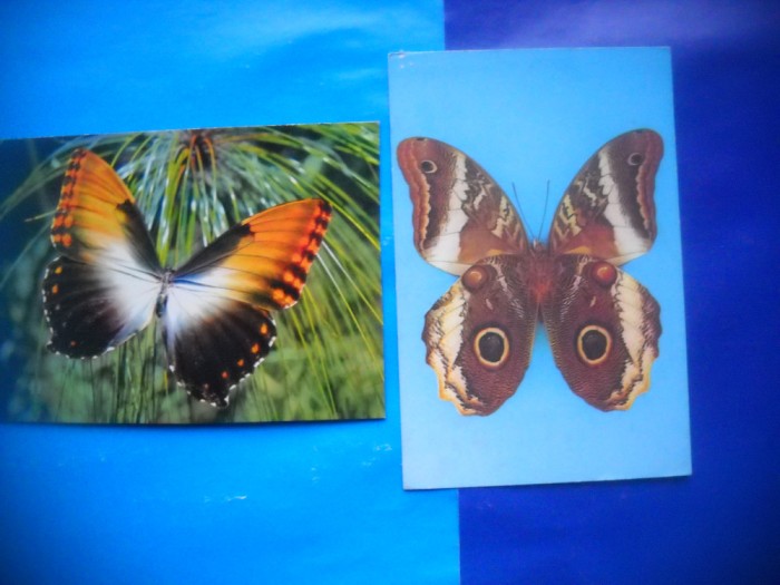 HOPCT LOT NR 1020 FLUTURI -FAUNA -2 CARTI POSTALE-NECIRCULATE