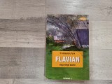 Flavian .Viata merge inainte vol.2 de Alexandru Torik