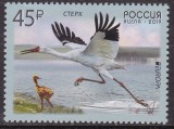 RUSIA 2019 EUROPA CEPT FAUNA PASARI