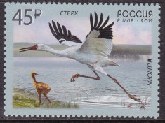 RUSIA 2019 EUROPA CEPT FAUNA PASARI foto