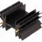 Radiator extrudat, 38.1mm x neagra, FISCHER ELEKTRONIK - SK129-38STS
