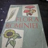 FLORA ROMANIEI - I. SIMIONESCU