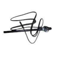 antena telescopica auto