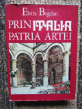 PRIN ITALIA PATRIA ARTEI-ELVIRA BOGDAN