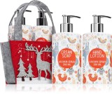 Vivian Gray Glittering Christmas - set sapun lichid si lotiune de maini cu flori de portocal, 2 250 ml
