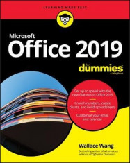 Office 2019 for Dummies foto