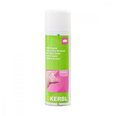 Spray cu miros de vier, 250&amp;nbsp;ml foto