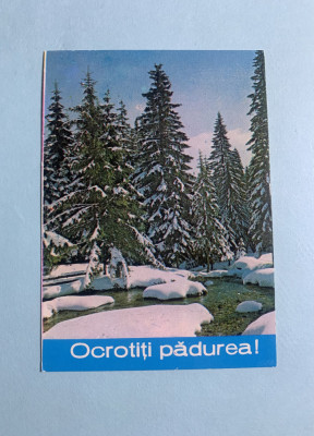 Calendar 1980 ocrotiți pădurea foto