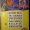 SPIRITUL IN AFARA TRUPULUI-FULVIU FRIGATOR-218489