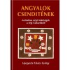 Angyalok csendit&eacute;nek - Archaikus n&eacute;pi im&aacute;ds&aacute;gok a r&eacute;gi Cs&iacute;ksz&eacute;kről