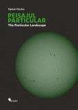 Peisajul particular / The Particular Landscape, Vellant