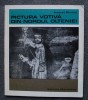 Andrei Pănoiu - Pictura votivă din Nordul Olteniei
