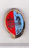 Bnk ins Franta - Insigna 1&deg; Regiment de Hussards Parachutistes Bercheny, Europa