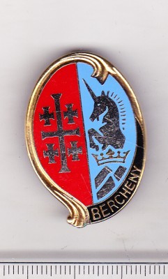 bnk ins Franta - Insigna 1&amp;deg; Regiment de Hussards Parachutistes Bercheny foto