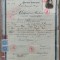 Certificat de absolvire a cursului secundar inferior Calafat 1927