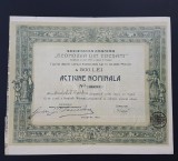 Actiune 1919 Economia din Focsani / titlu / actiuni / Vrancea