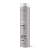 Sampon pentru volum ABH Volume No-Frizz, 250ml, Erayba