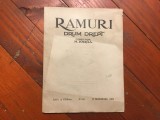 Revista Ramuri Drum Drept anul XVIII nr 24 / 15 decembrie 1924 !