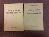 CULEGERE DE PROBLEME DE GEOMETRIE DESCRIPTIVA - BODNARESCU HORIA 2 VOL