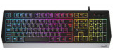 Cumpara ieftin Tastatura Gaming Genesis Rhod 300 RGB, USB, layout US (Negru/Gri)